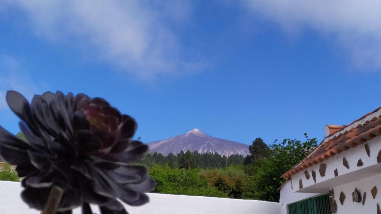 Photo of Outdoor in Icod de los Vinos