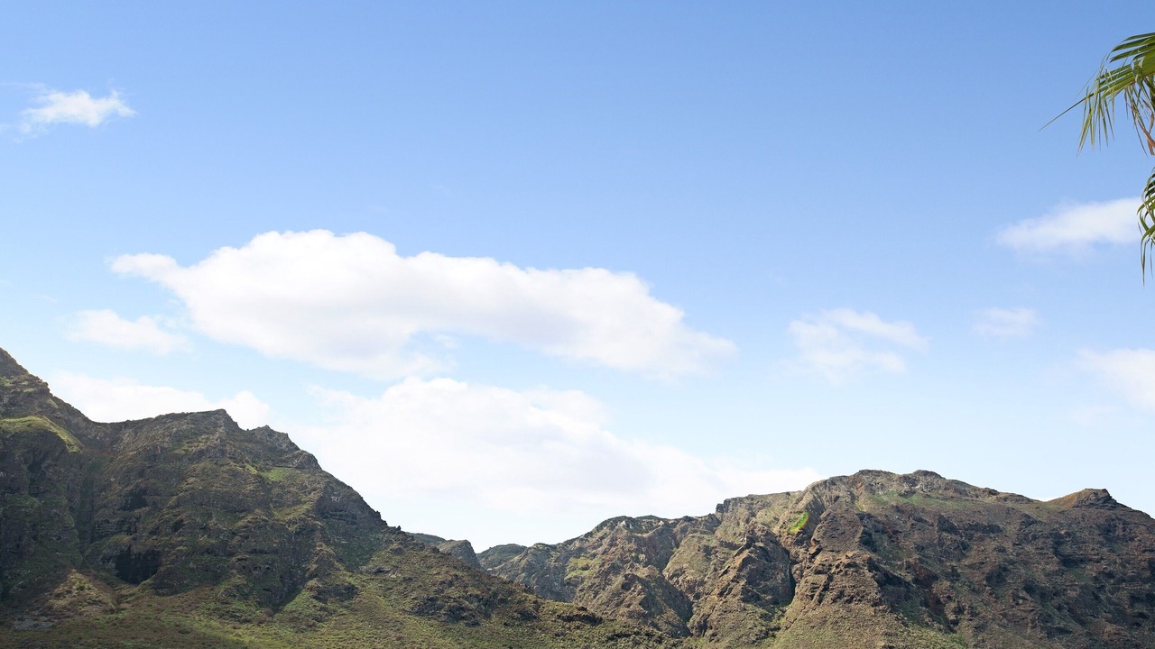 Photo of Others in Buenavista del Norte