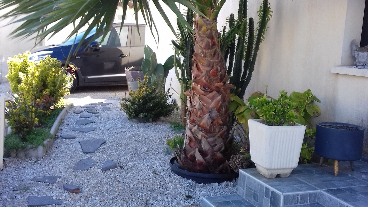 Photo of Outdoor in Cannes La Bocca