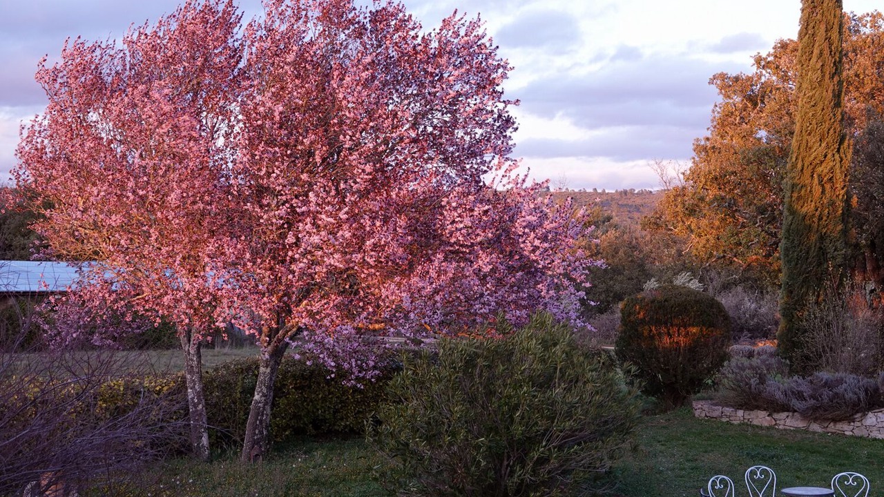 Photo of Outdoor in Varages