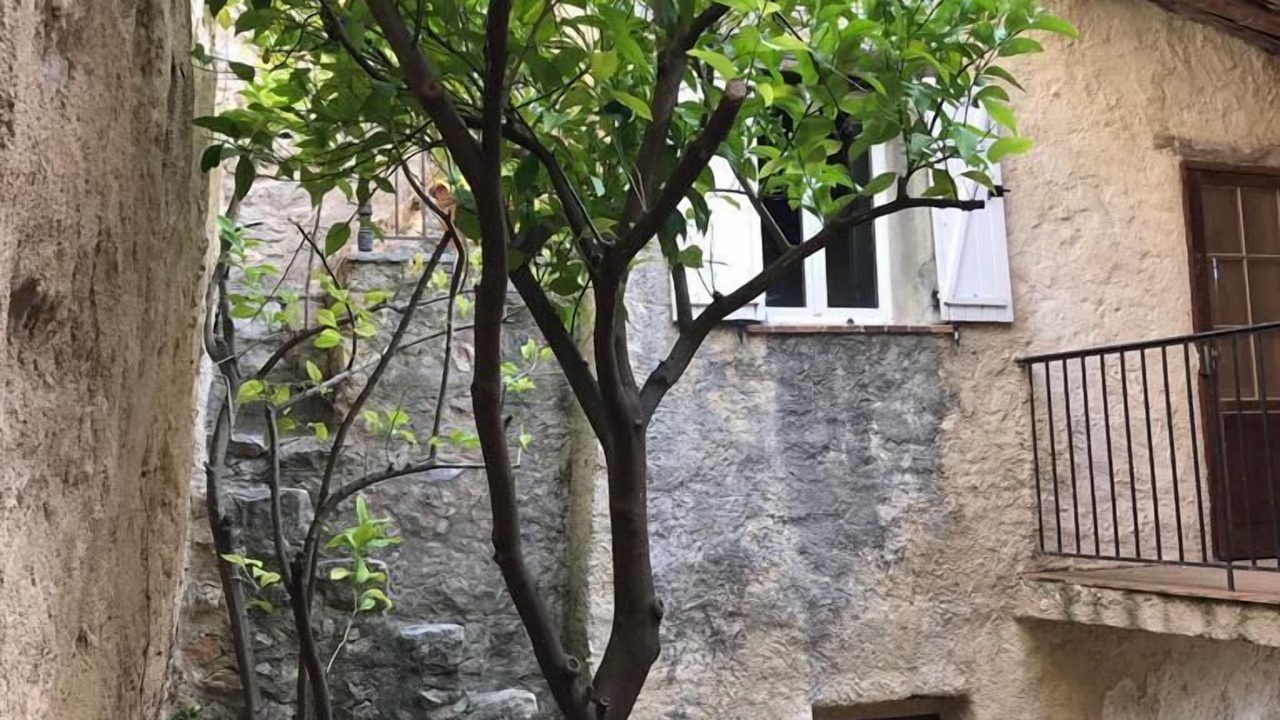 Photo of Outdoor in Seillans