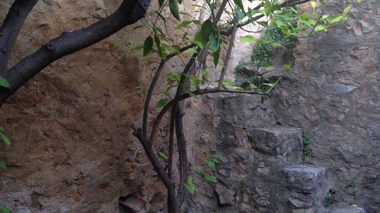 Photo of Outdoor in Seillans