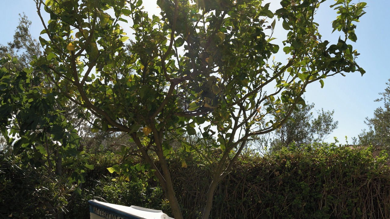 Photo of Outdoor in Rethymno