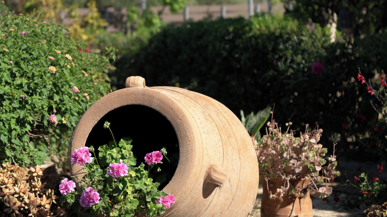 Photo of Outdoor in Rethymno