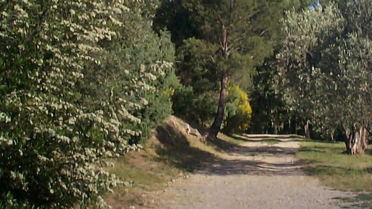 Photo of Others in Seillans
