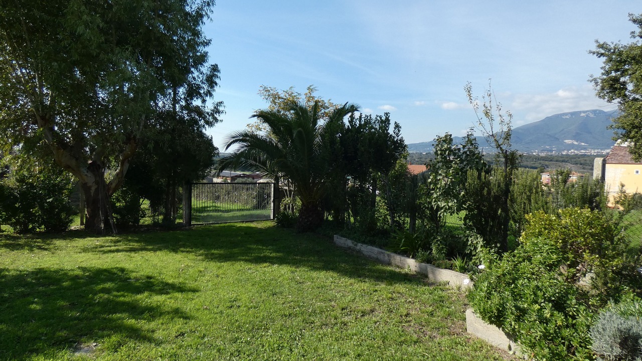 Photo of Outdoor in Serre