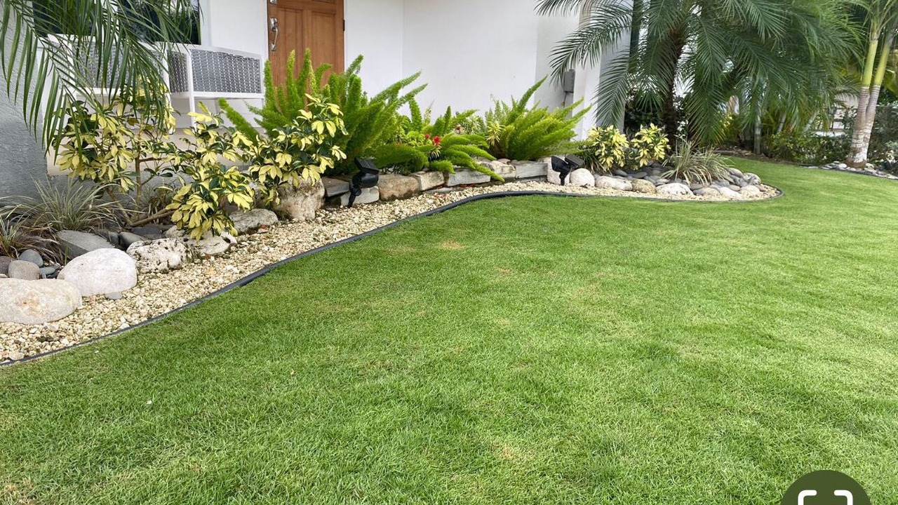 Photo of Outdoor in Mammee Bay