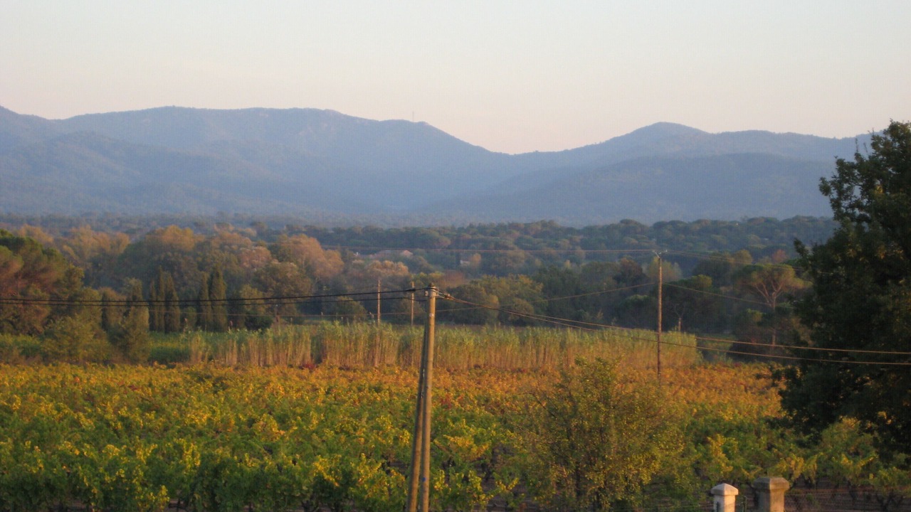 Photo of Others in Vidauban