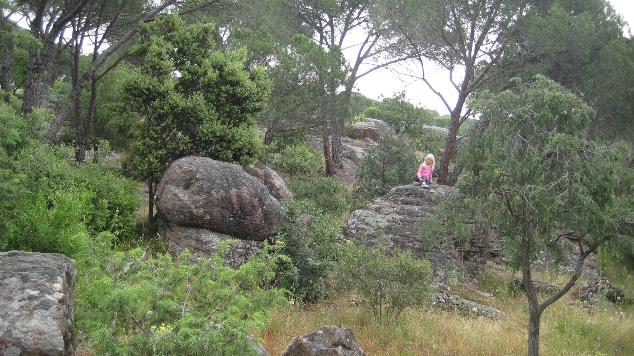 Photo of Outdoor in Vidauban