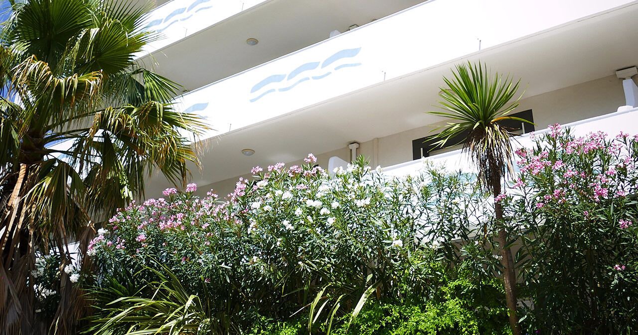 Photo of Outdoor in La Ciotat