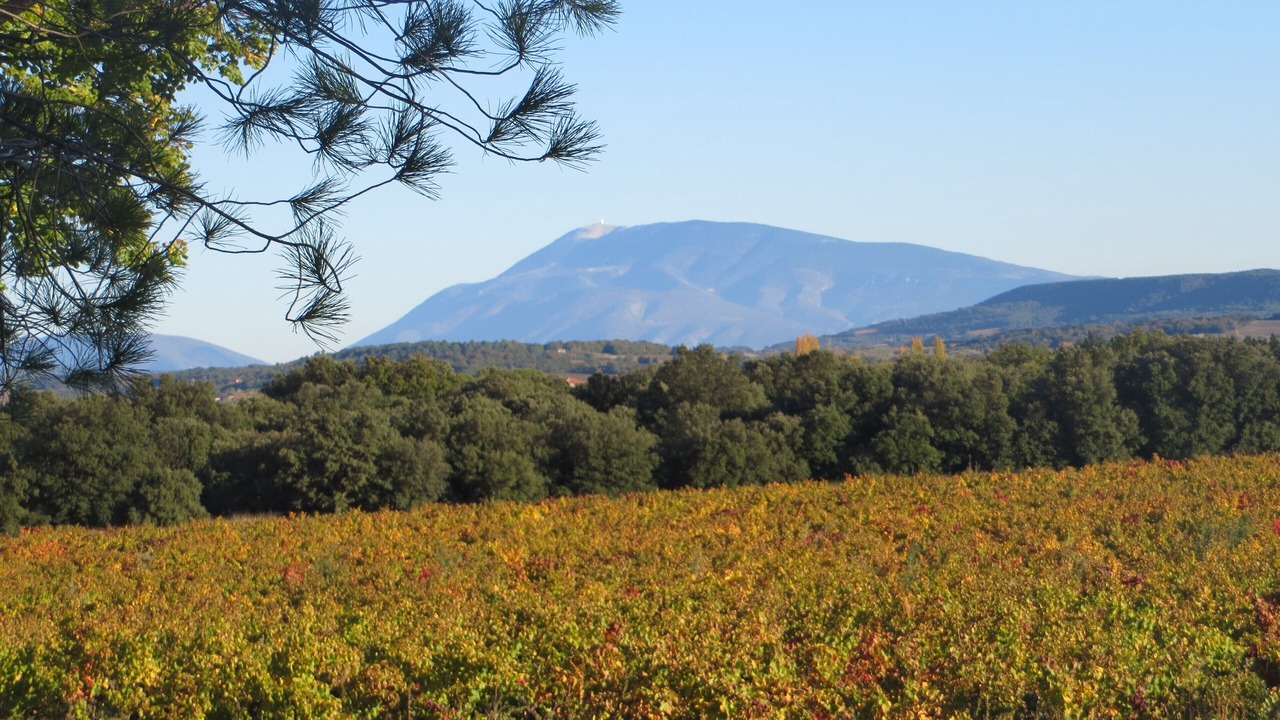 Photo of Outdoor in Visan