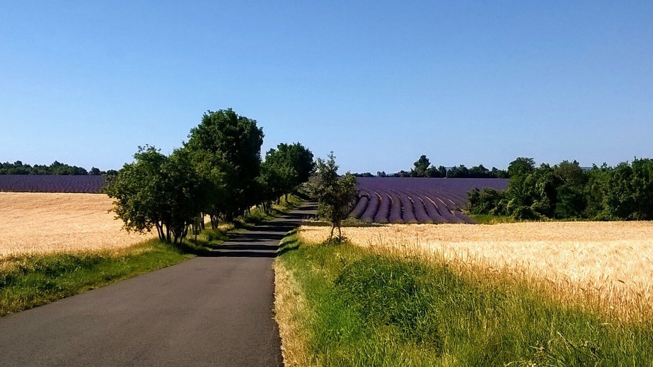 Photo of Outdoor in Montpezat