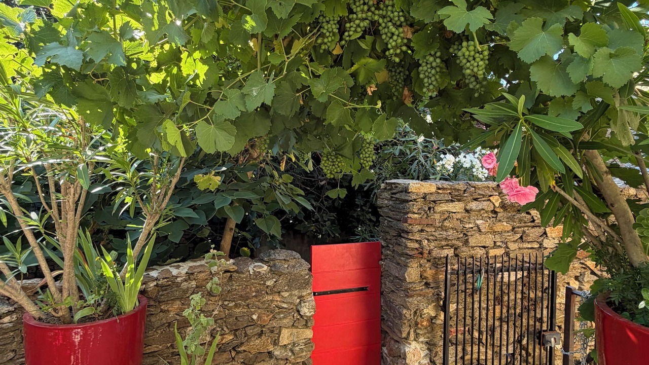 Photo of Outdoor in La Garde-Freinet