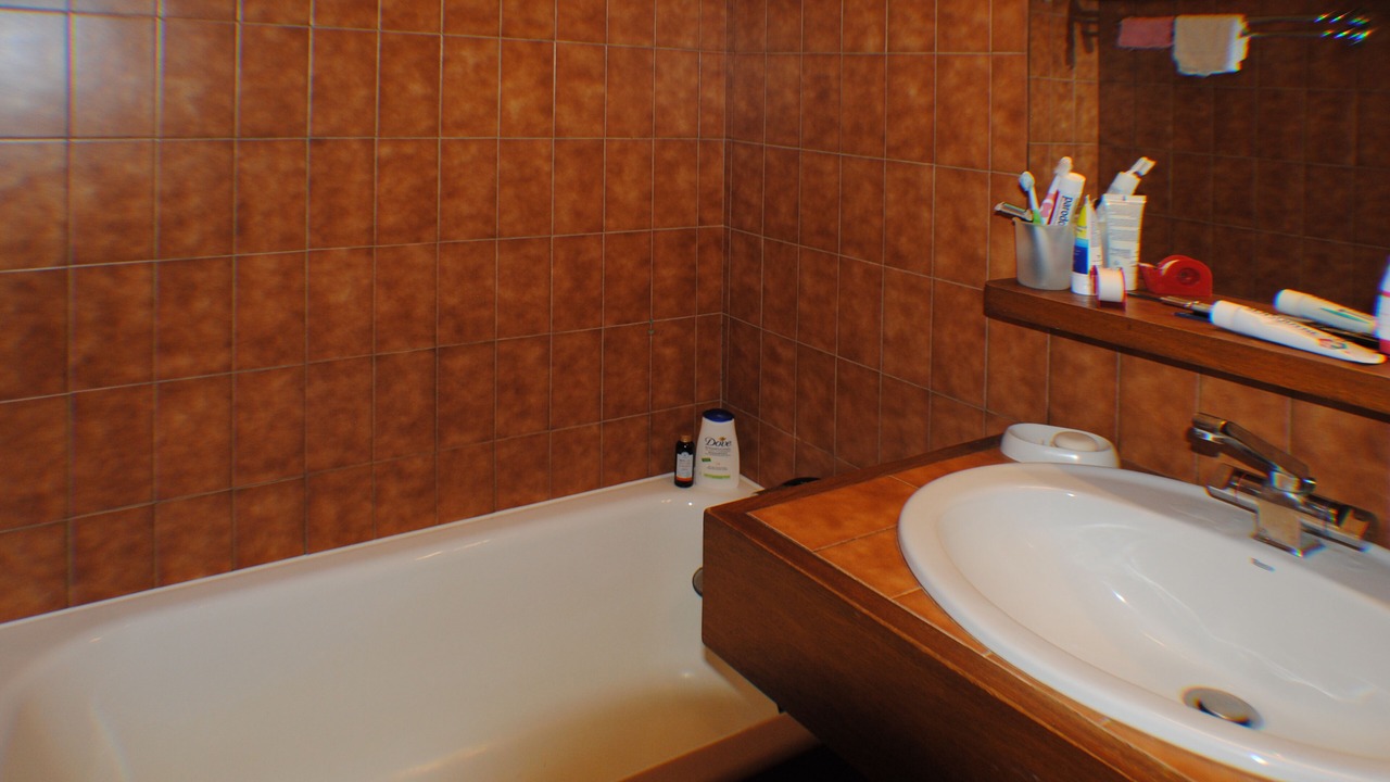 Photo of Bathroom in Praz-sur-Arly