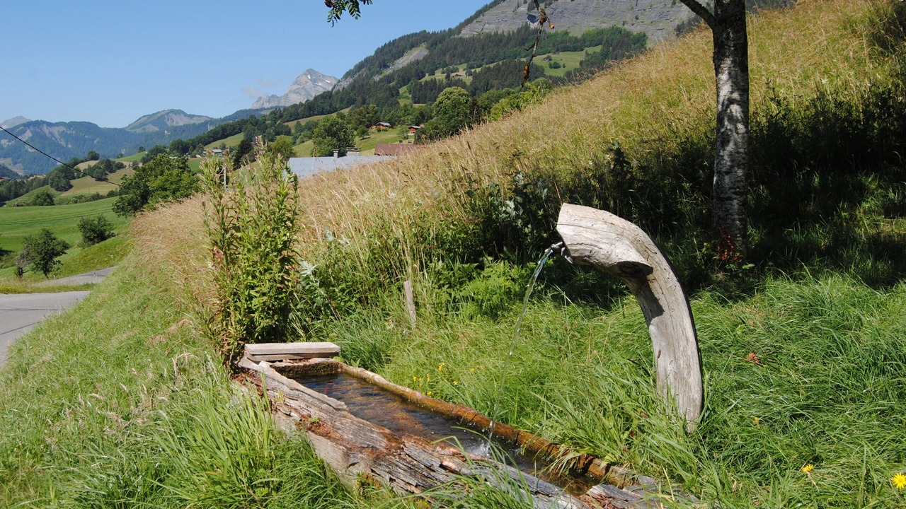 Photo of Outdoor in Praz-sur-Arly