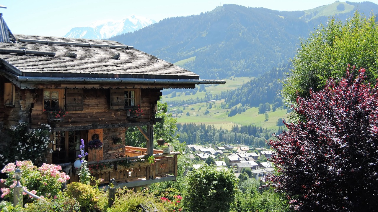 Photo of Outdoor in Praz-sur-Arly