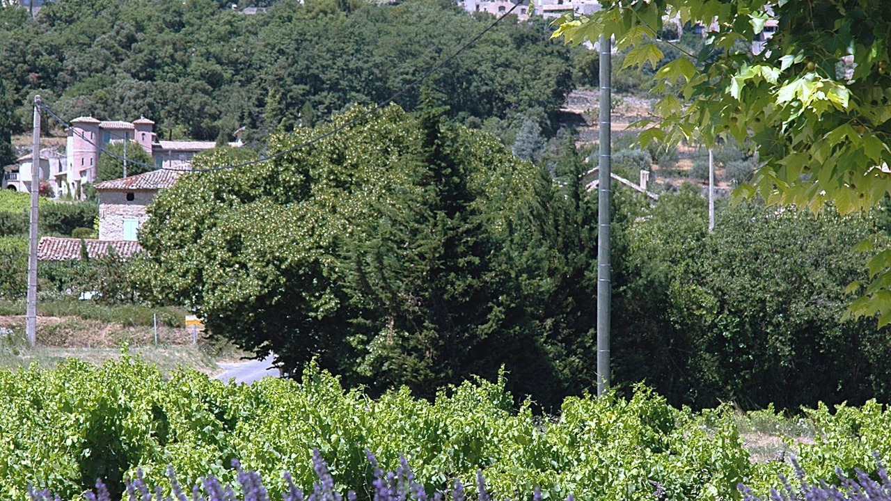 Photo of Outdoor in Crestet