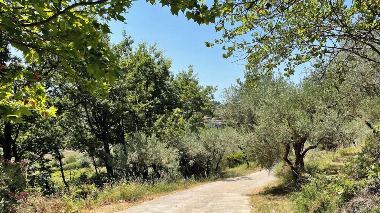 Photo of Outdoor in Callas