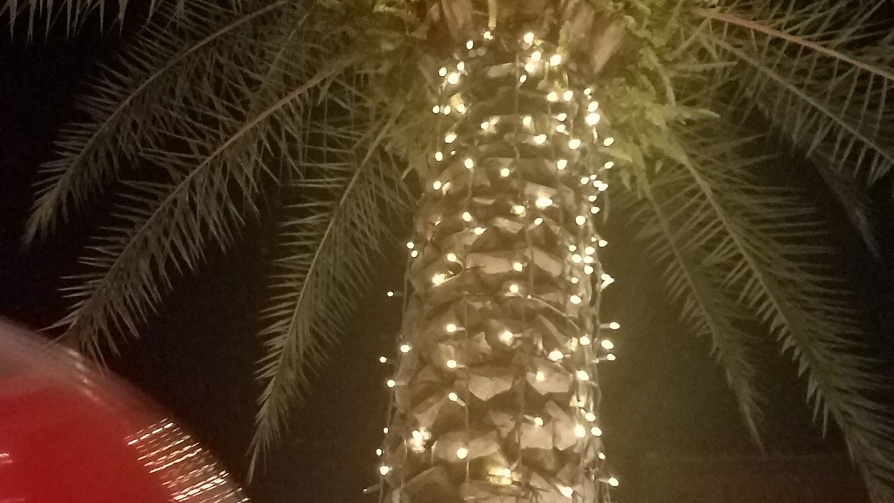 Photo of Others in Regal Palms