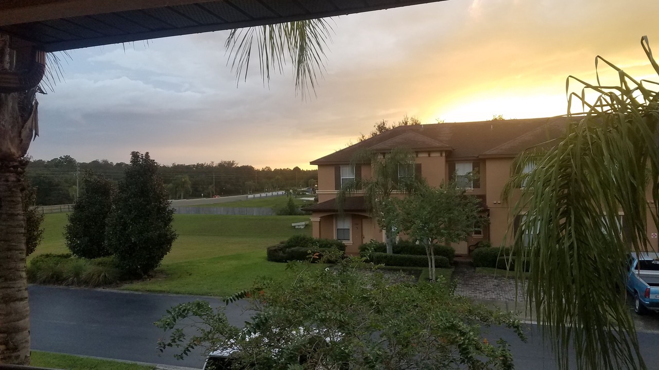 Photo of Outdoor in Regal Palms