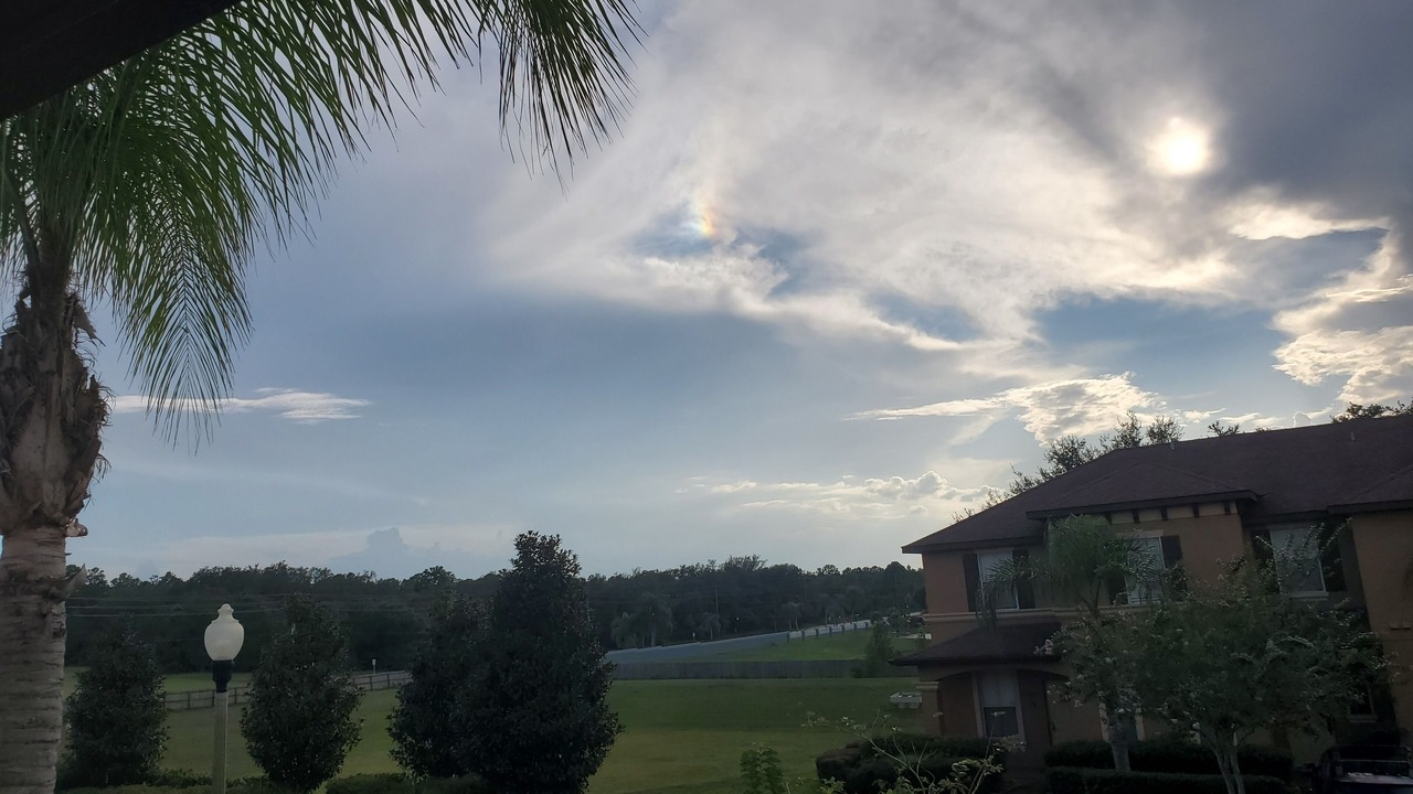 Photo of Outdoor in Regal Palms
