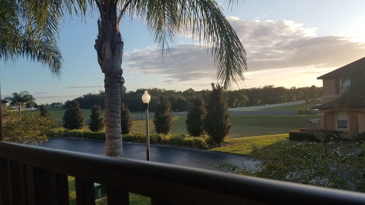 Photo of Outdoor in Regal Palms