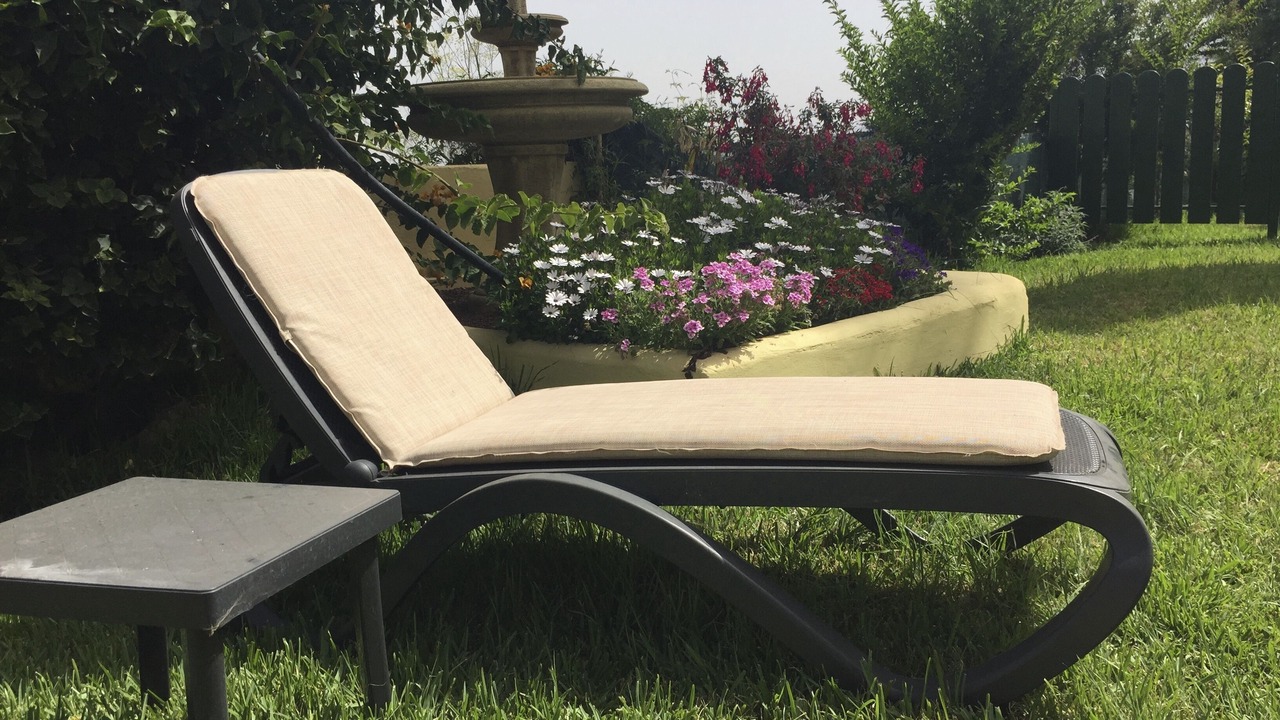 Photo of Outdoor in Los Realejos