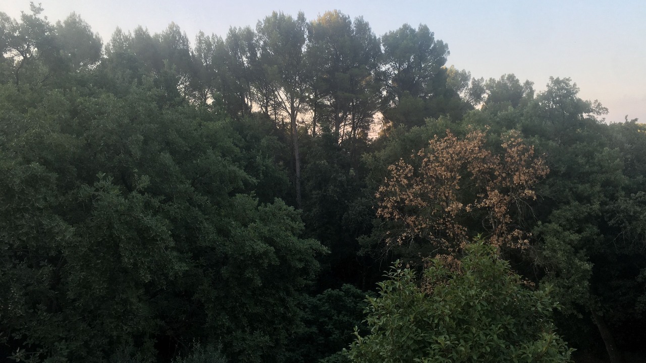 Photo of Outdoor in Flayosc
