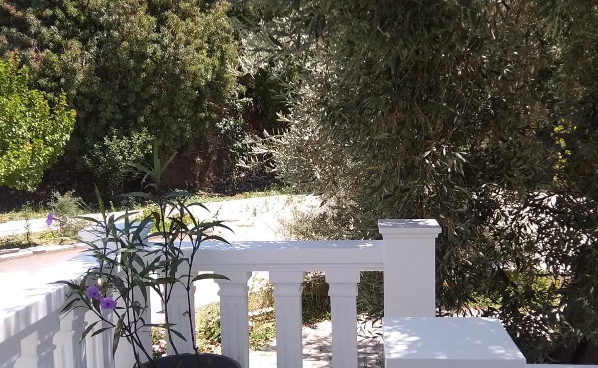 Photo of Outdoor in Skopelos Town