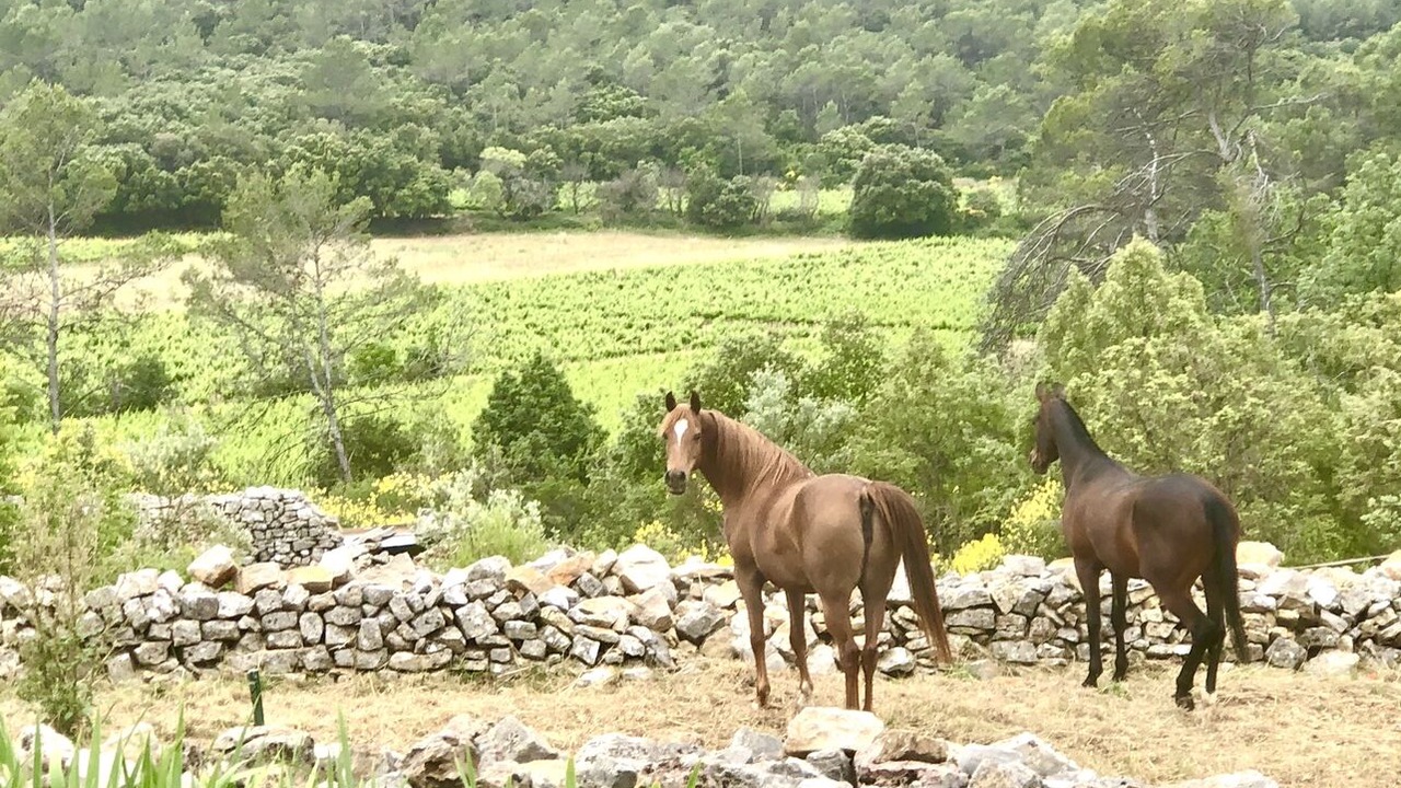 Photo of Outdoor in Pignans