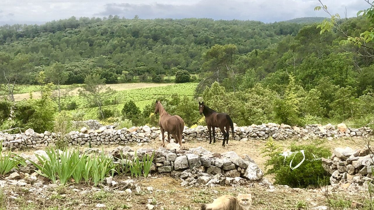 Photo of Outdoor in Pignans