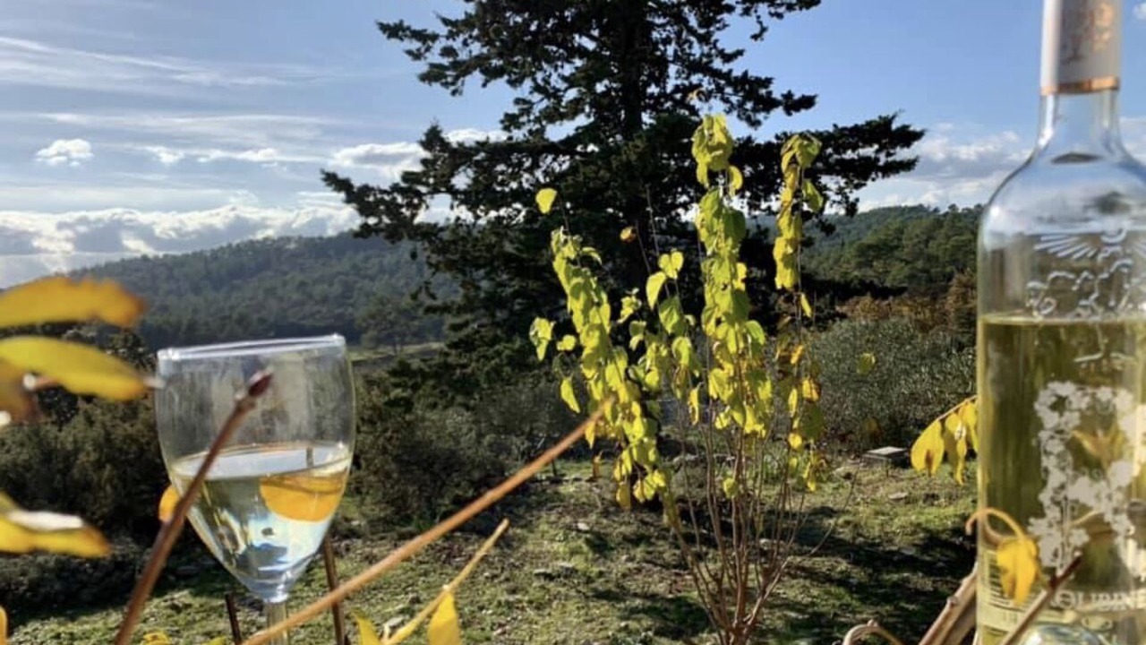 Photo of Outdoor in Pignans