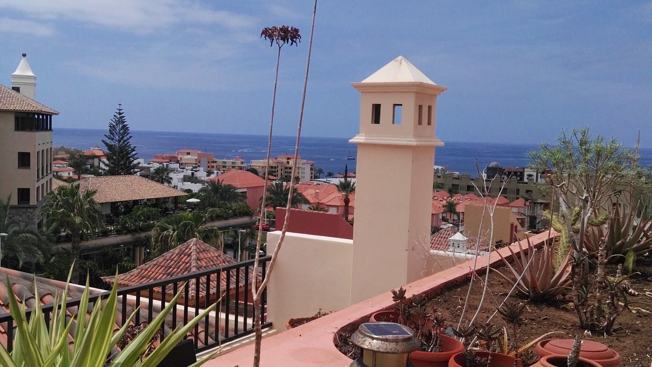 Photo of Outdoor in El Duque