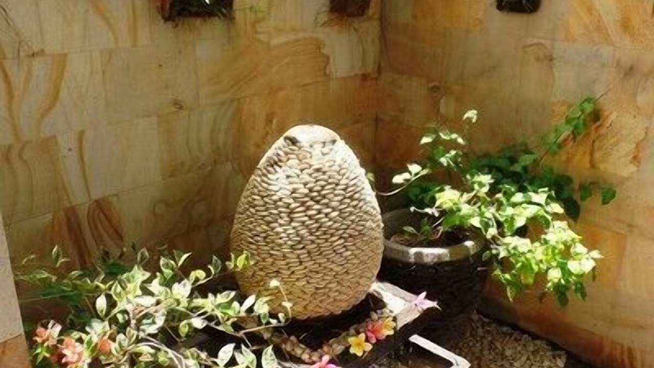 Photo of Outdoor in Kedewatan