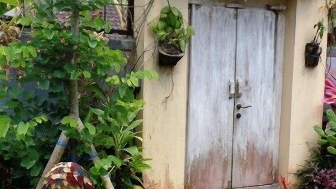 Photo of Outdoor in Kedewatan