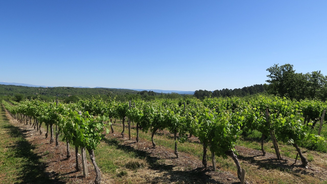 Photo of Outdoor in Saint Alban Auriolles