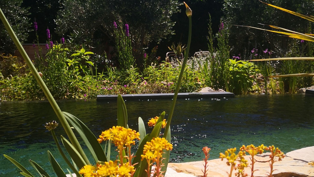 Photo of Outdoor in Besse-sur-Issole
