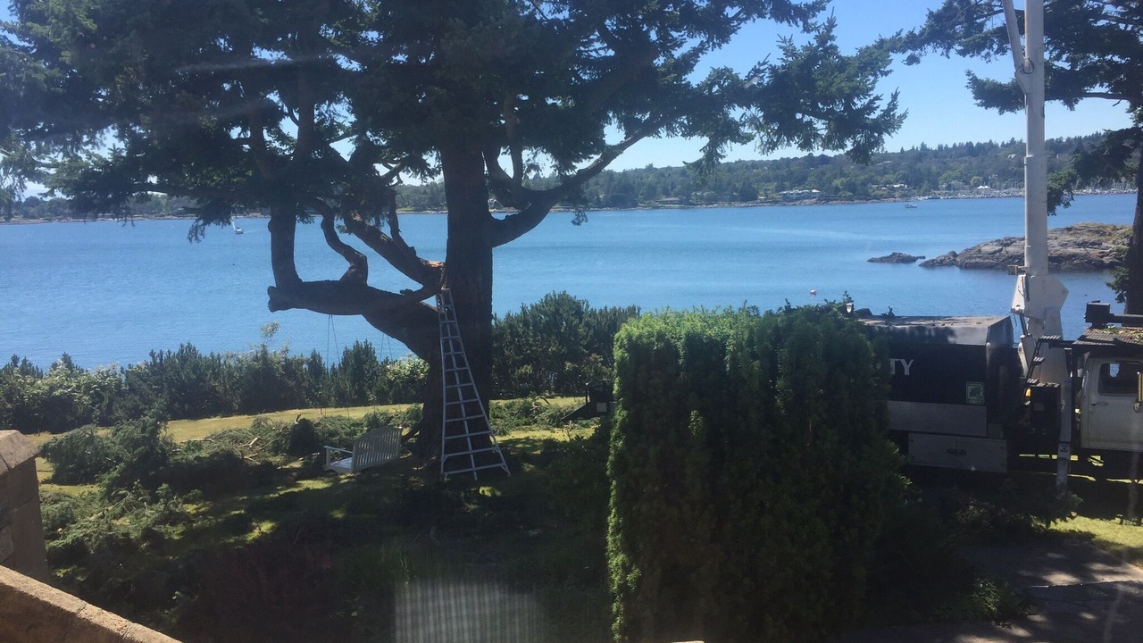Photo of Others in Saanich East