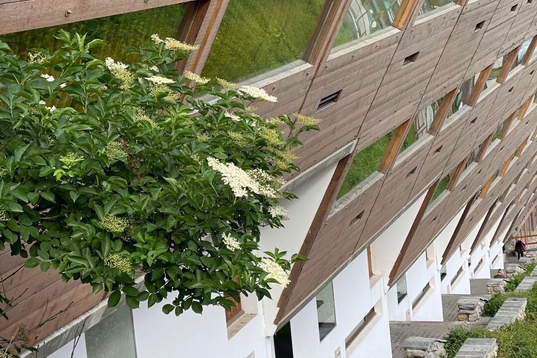 Photo of Outdoor in Arc-1600