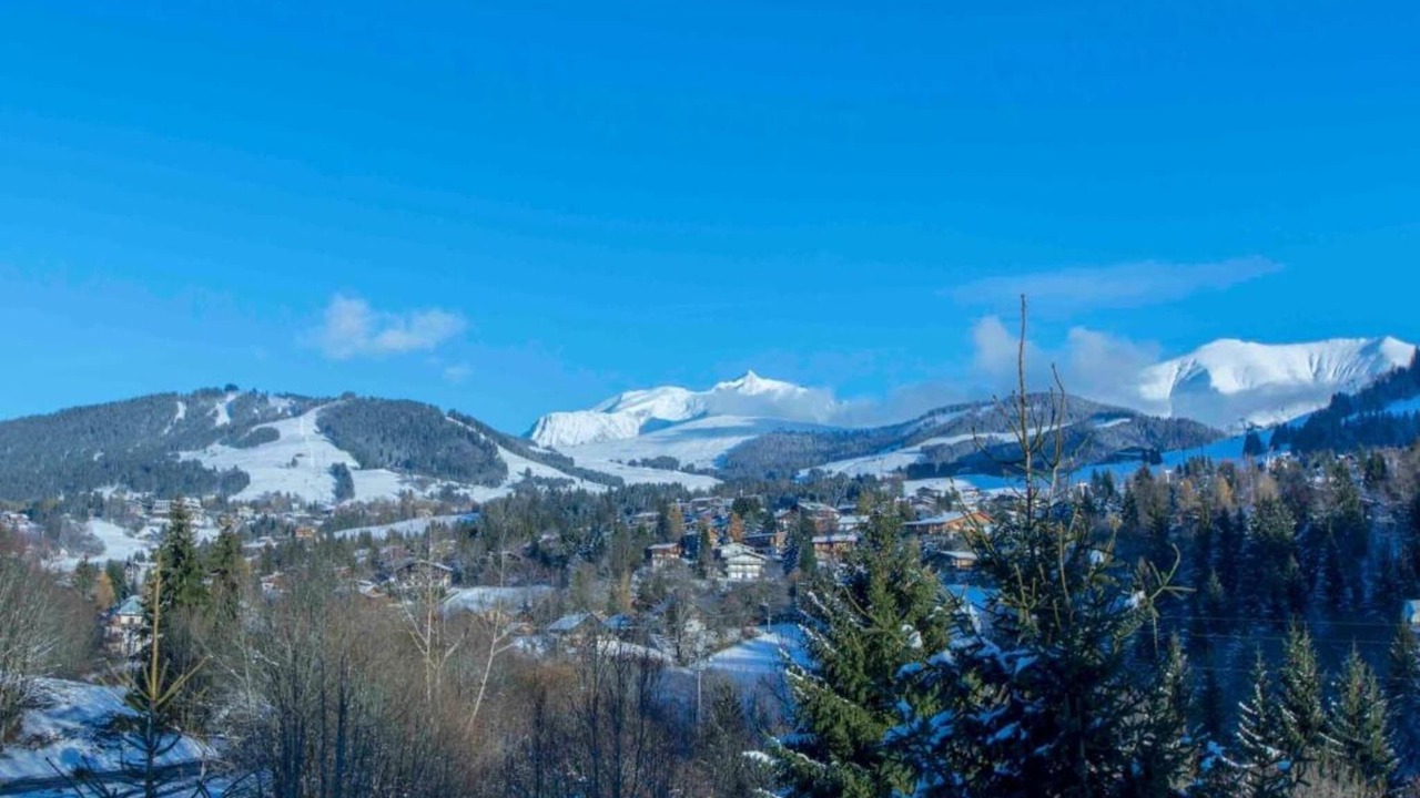 Photo of Others in Praz-sur-Arly