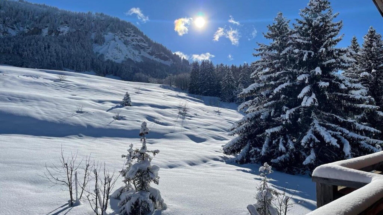 Photo of Others in Praz-sur-Arly