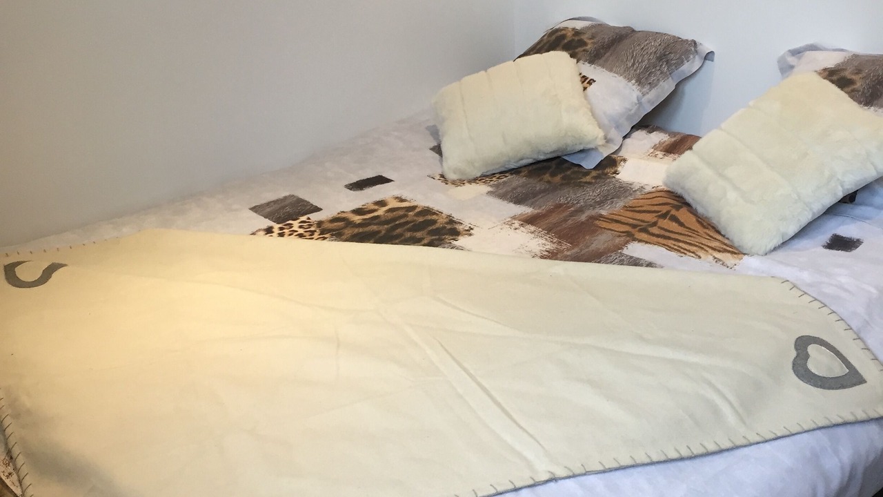 Photo of Bedroom in Sallanches