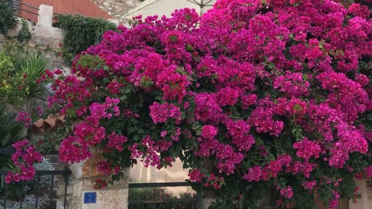 Photo of Outdoor in Villefranche-sur-Mer