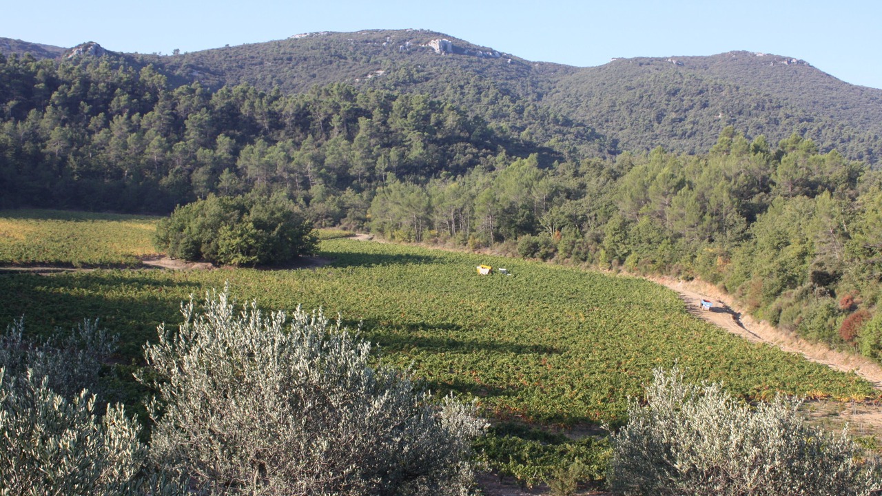 Photo of Outdoor in Signes