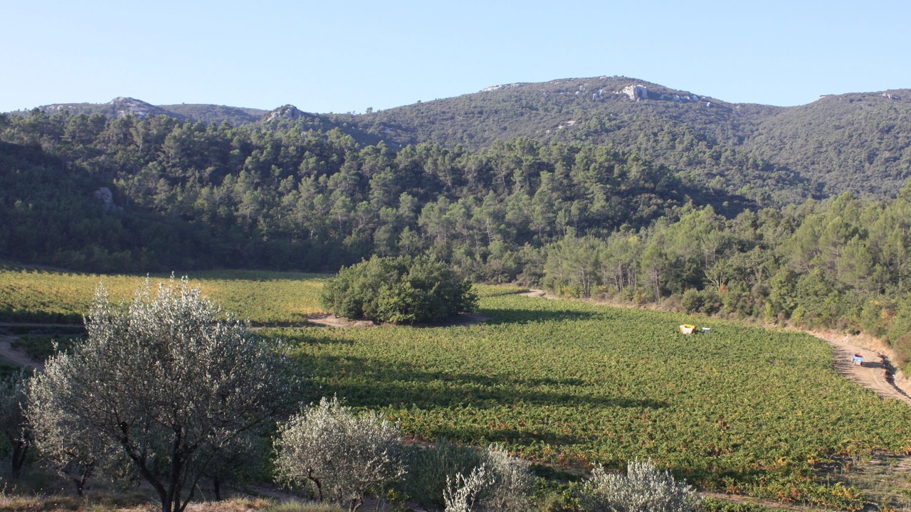 Photo of Outdoor in Signes