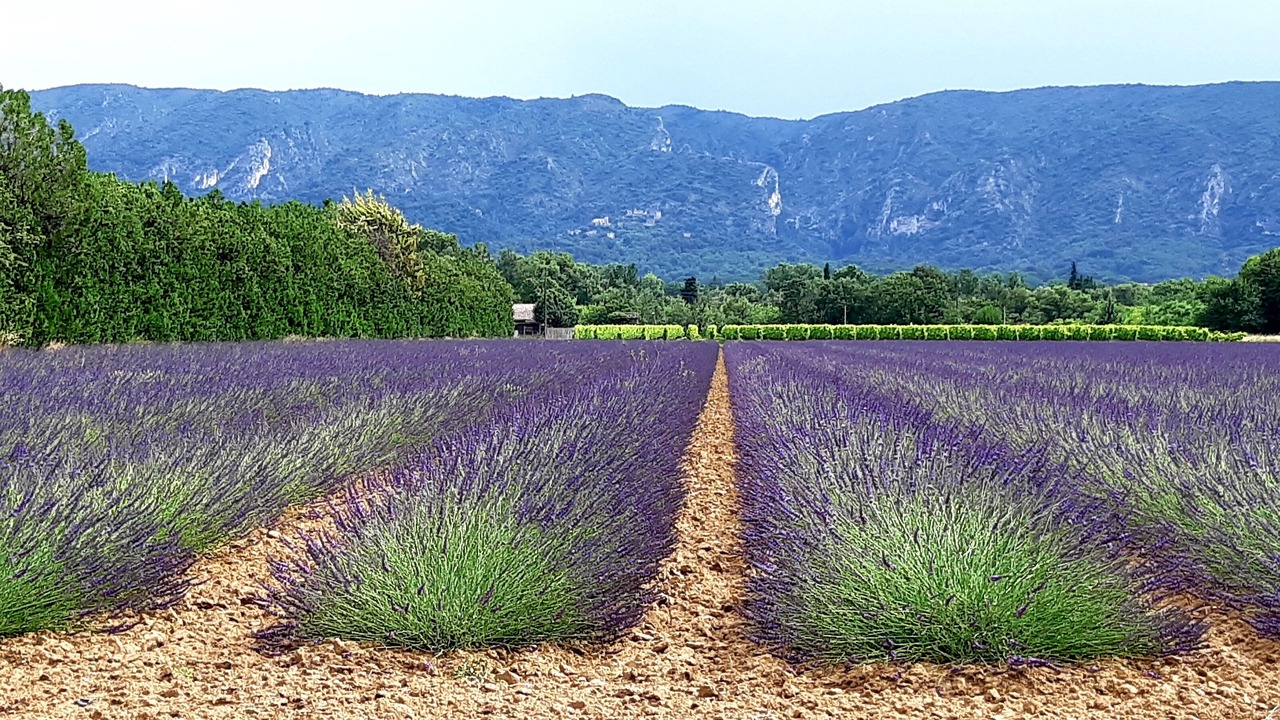 Photo of Outdoor in Gordes