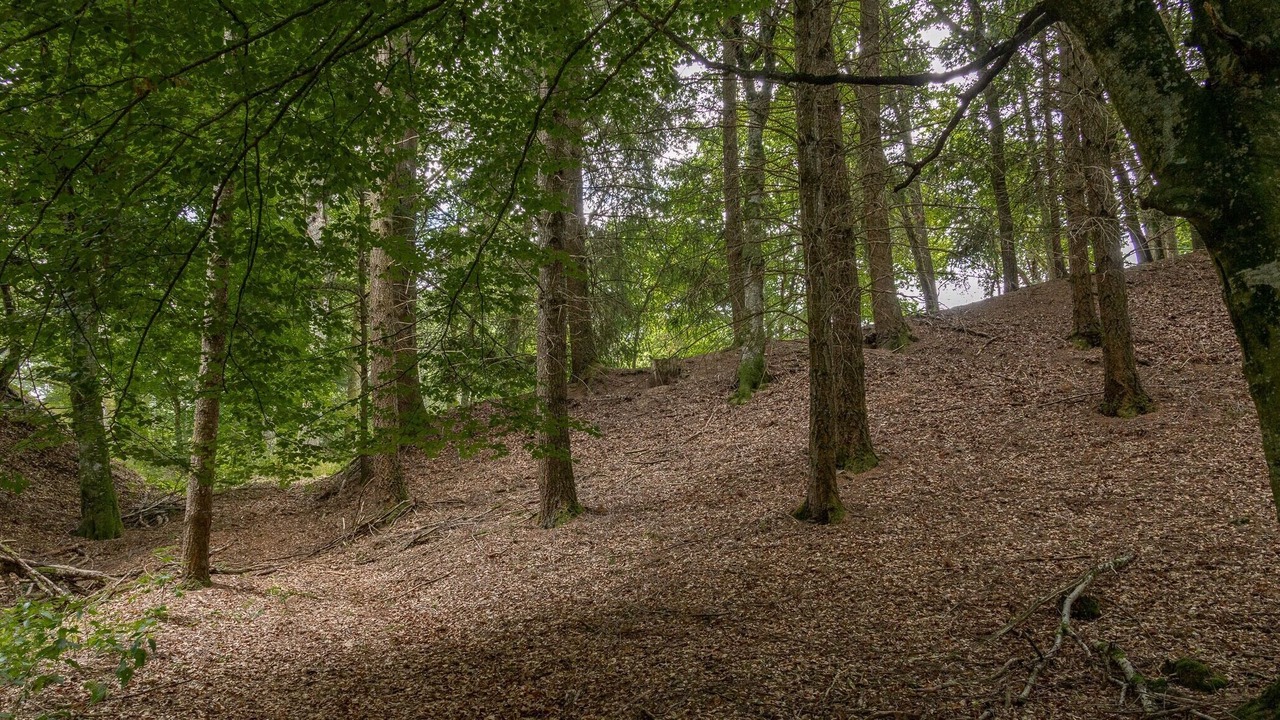 Photo of Others in Puy-Saint-Gulmier