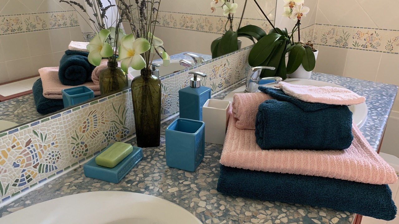 Photo of Bathroom in Pourrieres