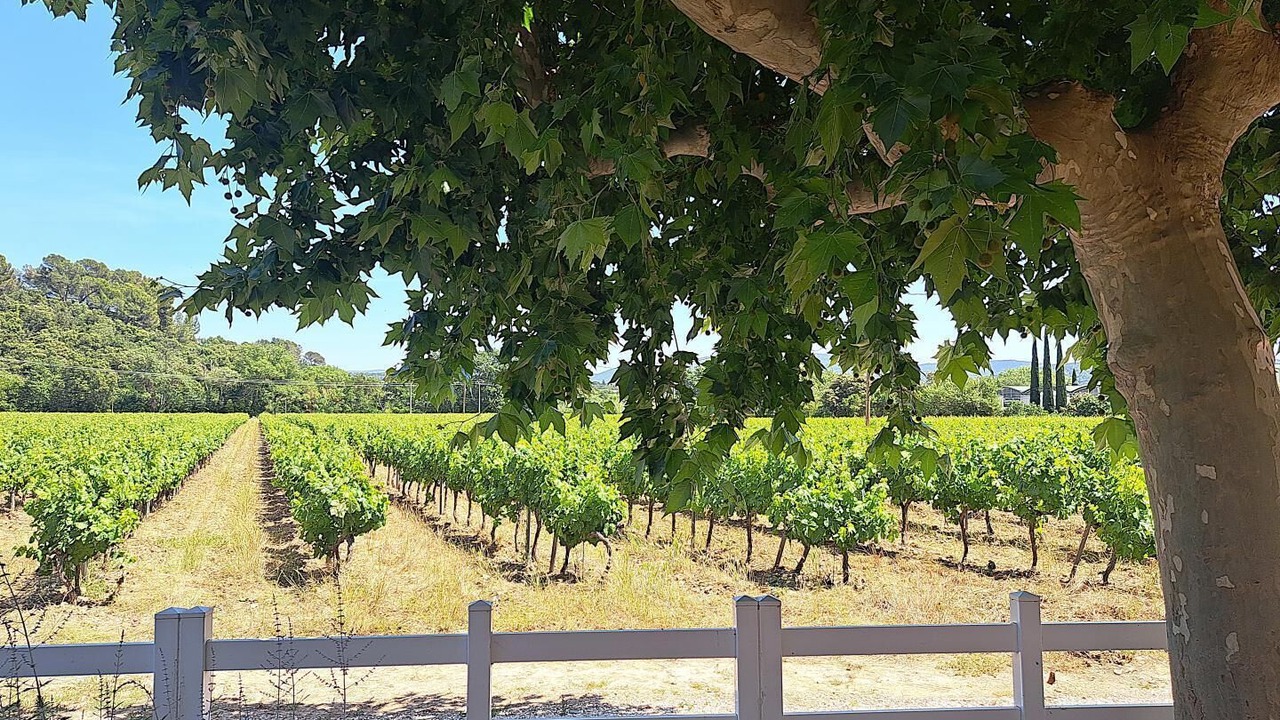 Photo of Outdoor in Pierrefeu-du-Var
