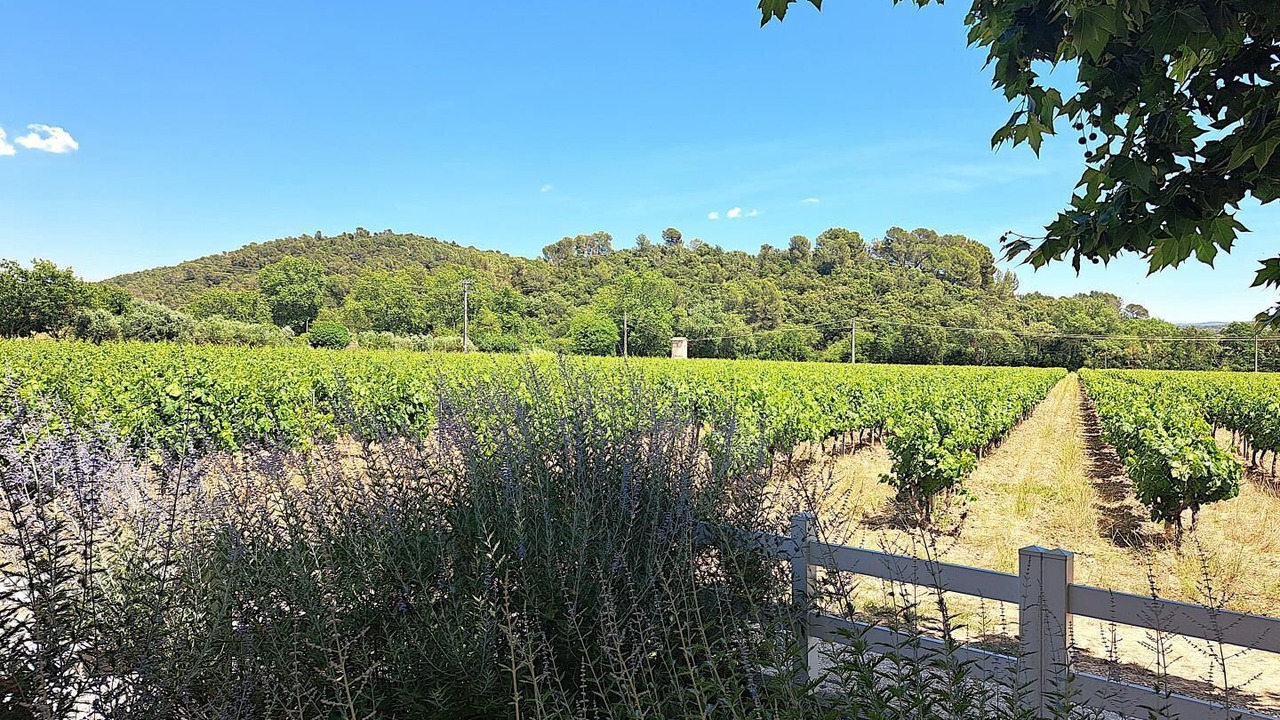 Photo of Others in Pierrefeu-du-Var